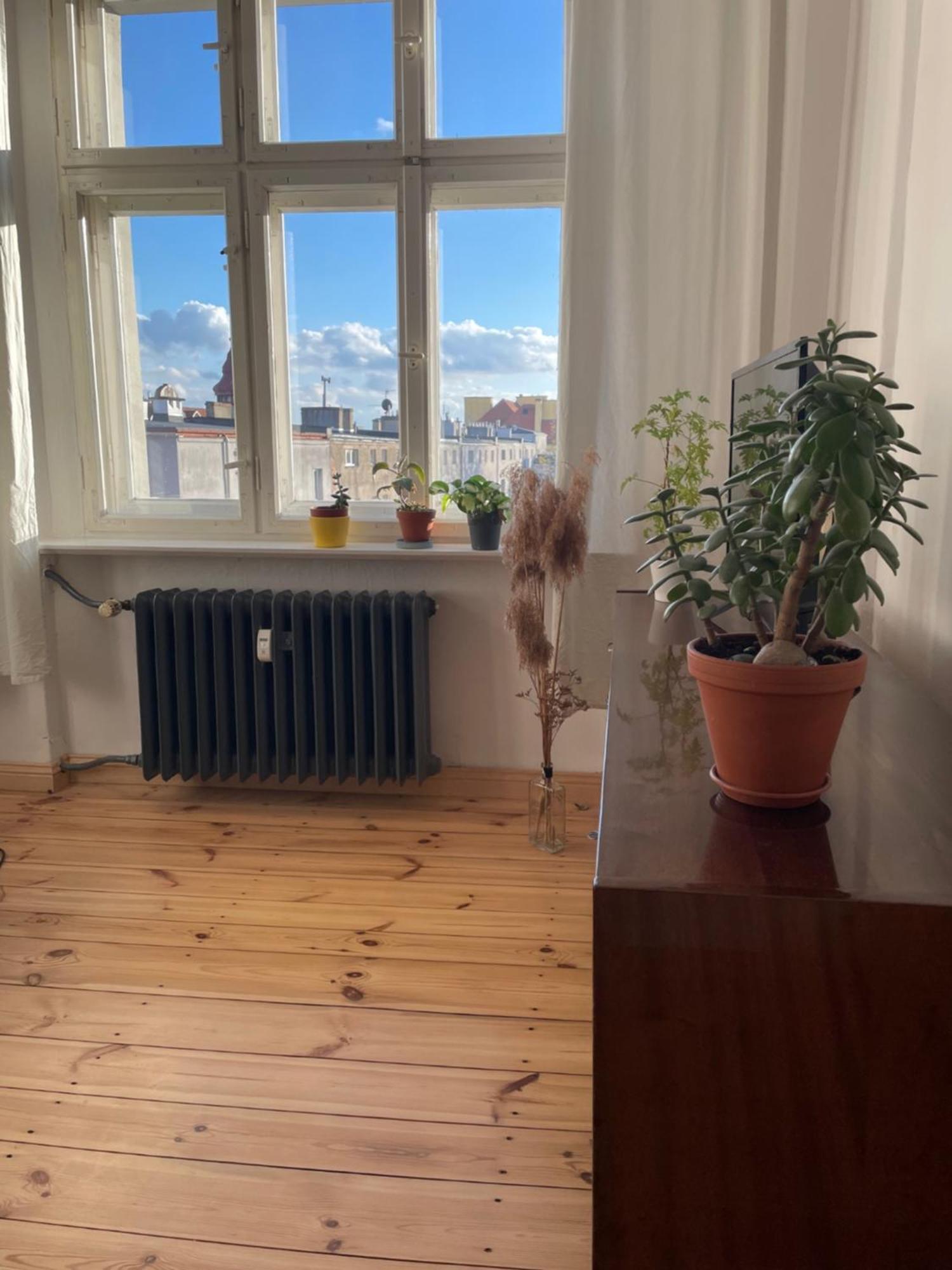 Sentymenty - Apartamenty W Kamienicy Na Mickiewicza Torun Exterior photo
